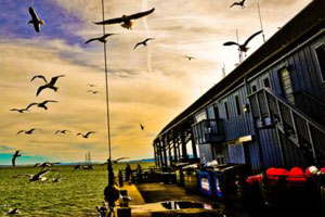 ddos在线攻击测试网站