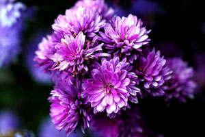 智能化运营管理的网页DDOS攻击平台